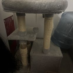 Cat Tree 