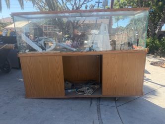 Large Glass Aquarium Tank with Wood Stand