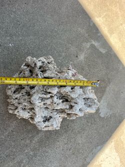 Reef saltwater tank rock