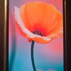 ZFold 5 512gb