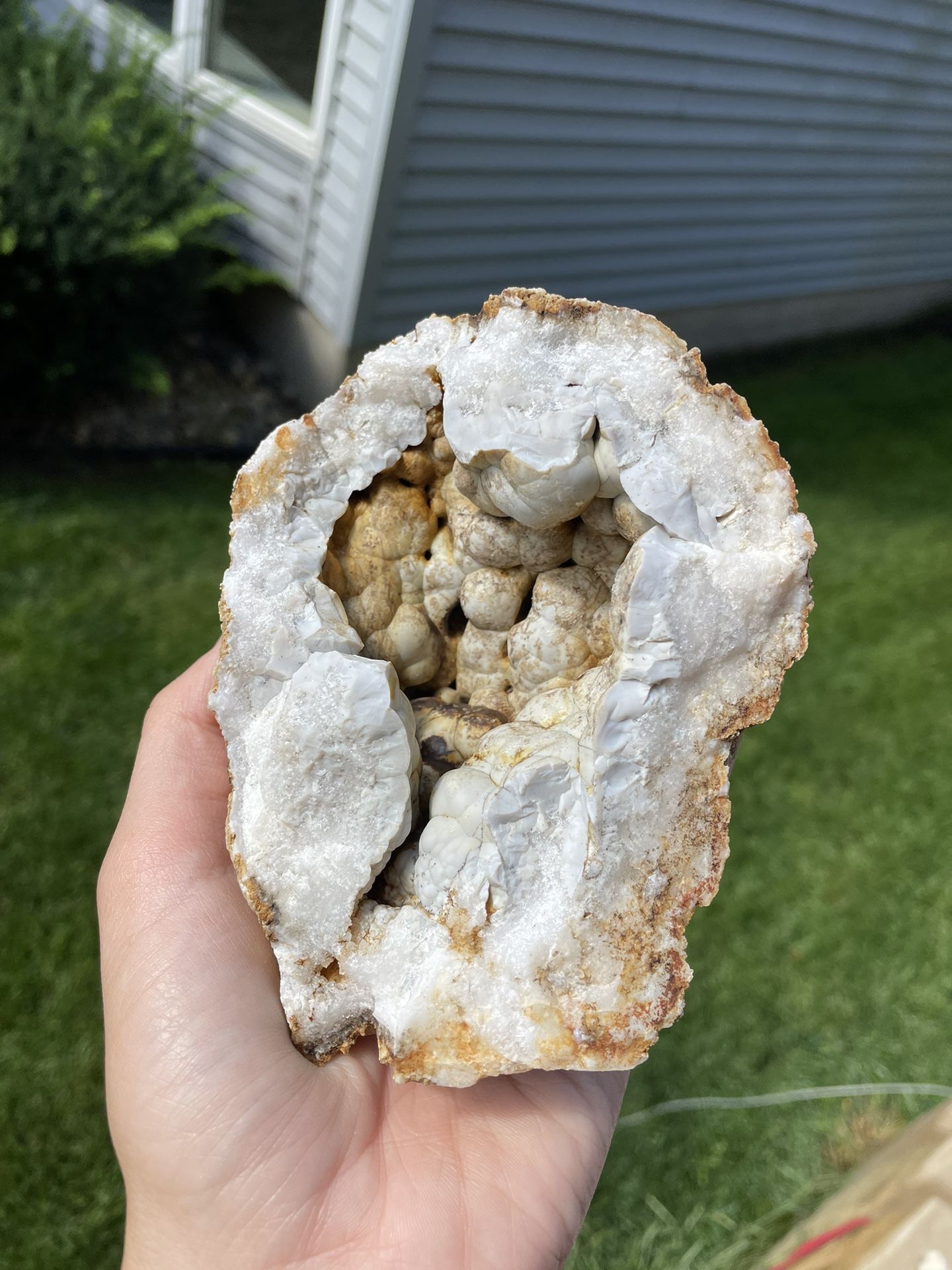 Botryoidal Agate Geode 