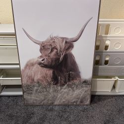 Cow Canvas 