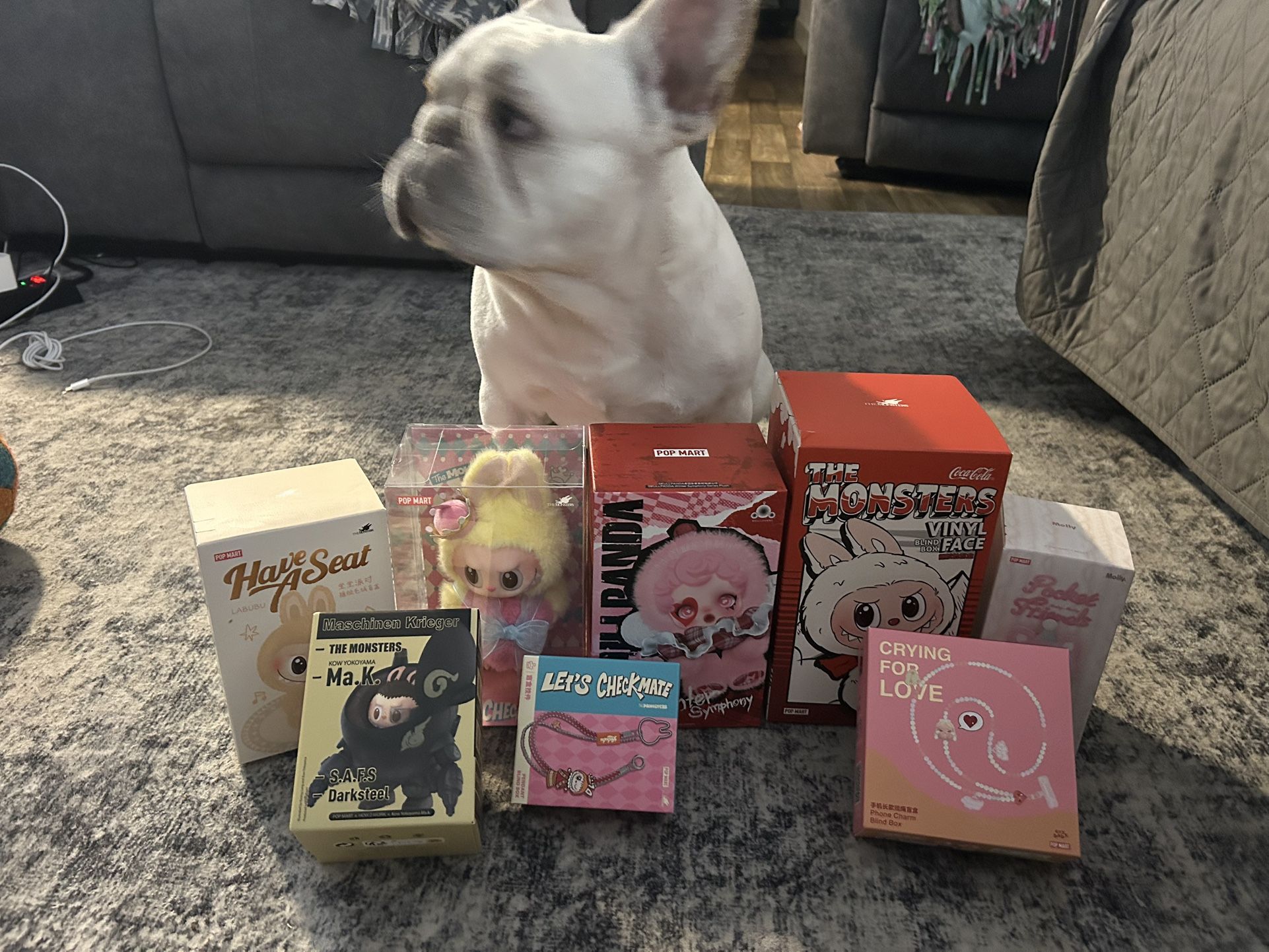 π§Έ Sealed Pop Mart Blind Boxes β No Duplicates, No Fakes!