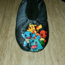 Pokemon Slip on