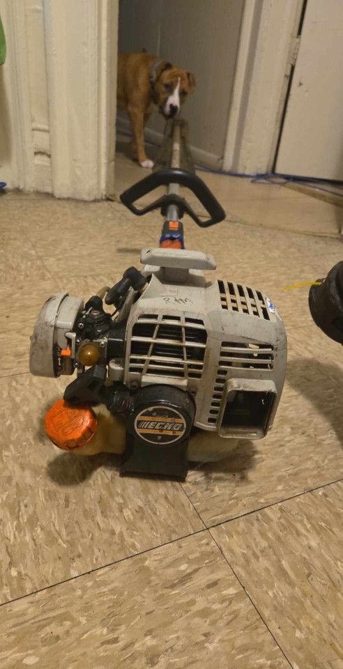 Echo 220 Edge tremor works perfectly. Going out of business. Must sell asking $20
