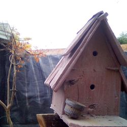 Bird House 