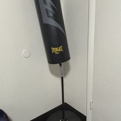 Everlast Punching Bag
