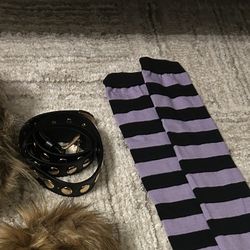 Halloween - Clawdeen Accessories 
