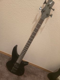 Jackson bass
