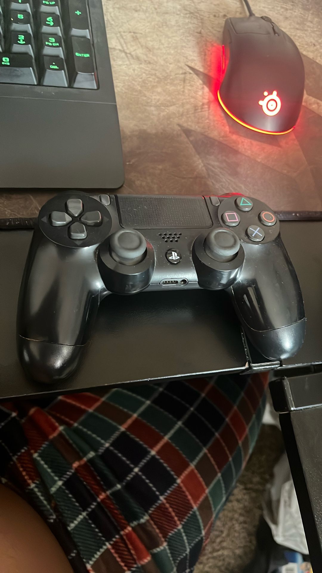 PS4 Controller Just Parts