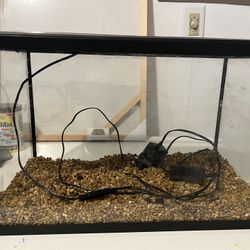 5 Gallon Fish Tank With Supplies