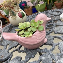 Succulent Plant Ornament Decor Pot Decoration 