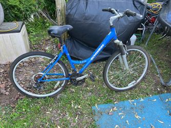 Nice bicycle like new  $60