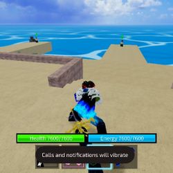 Blox Fruits Acc