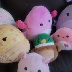 Squishmallow Lot