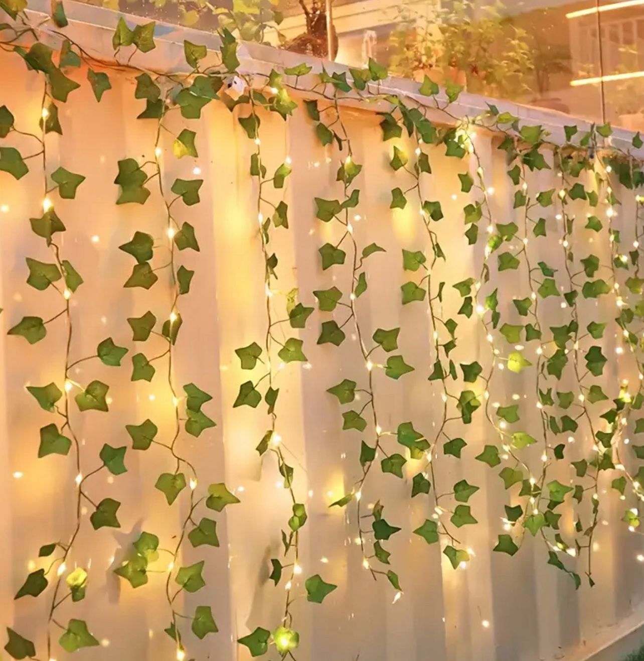 Hangin Plant Vine