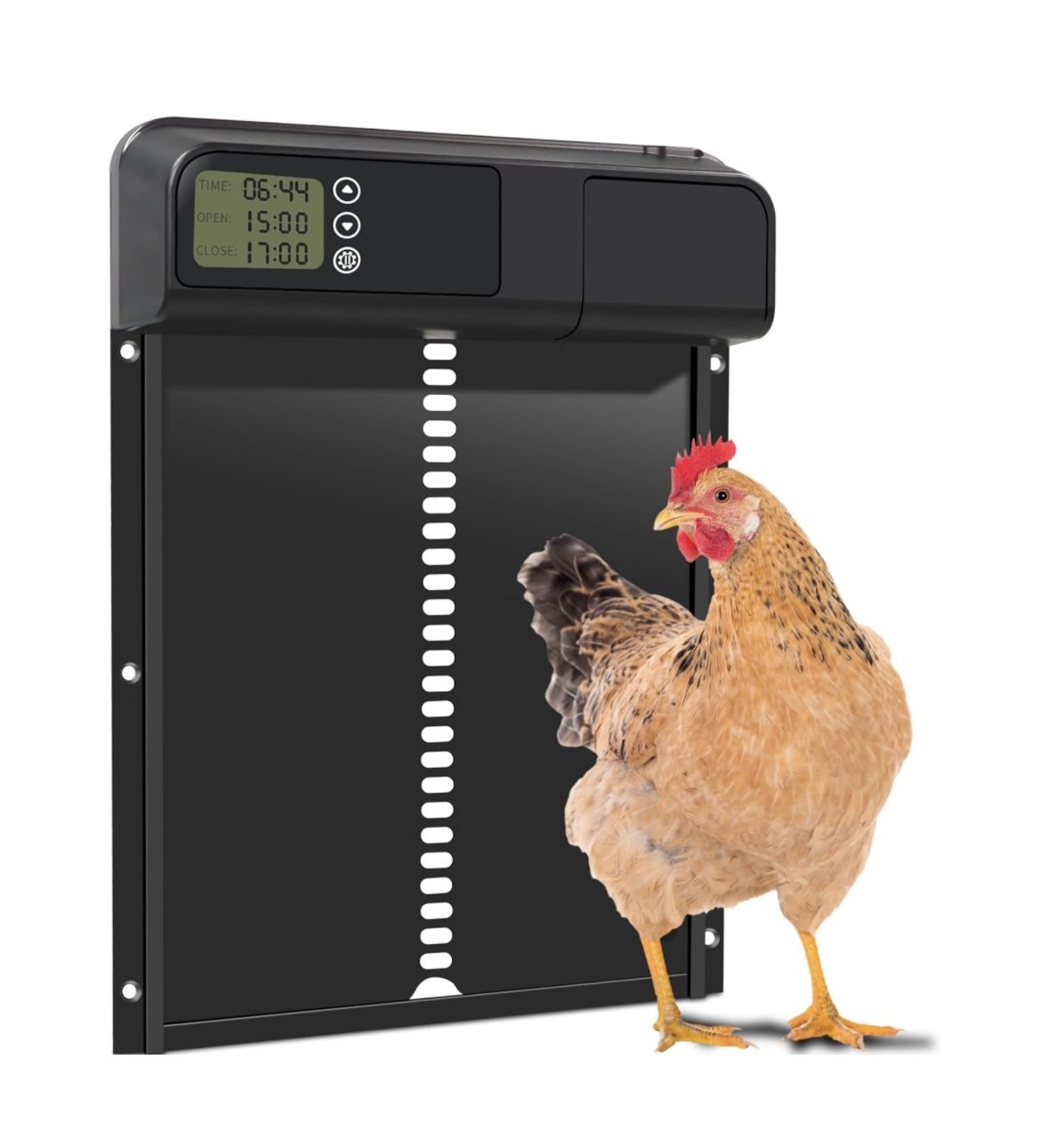 Chicken Coop Door