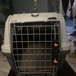 Dog/Cat Kennel