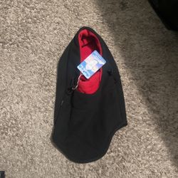 Ski Mask