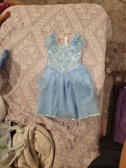 Cinderella Halloween Costume