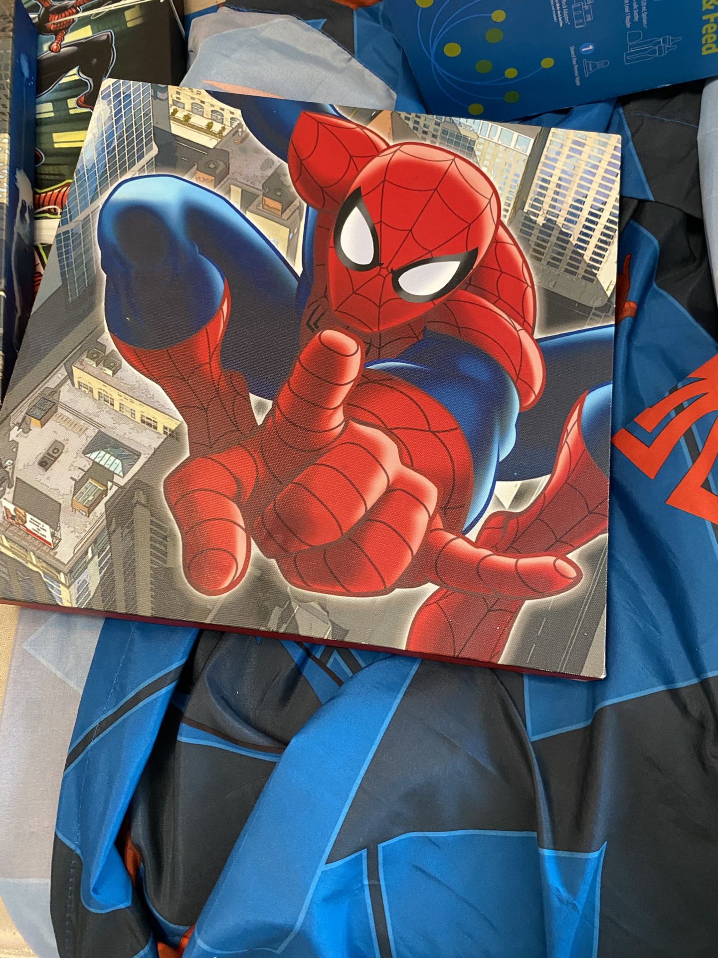 Spider-Man Room Set