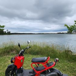 Honda Ruckus 