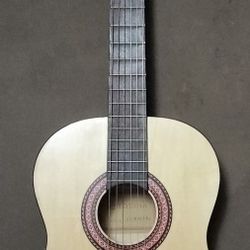 Acoustic Guitar 