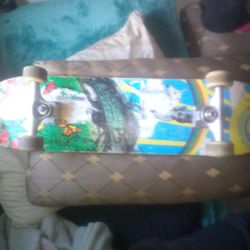 SKATEBOARD PRO MODEL BR JACKSON WYOMING 