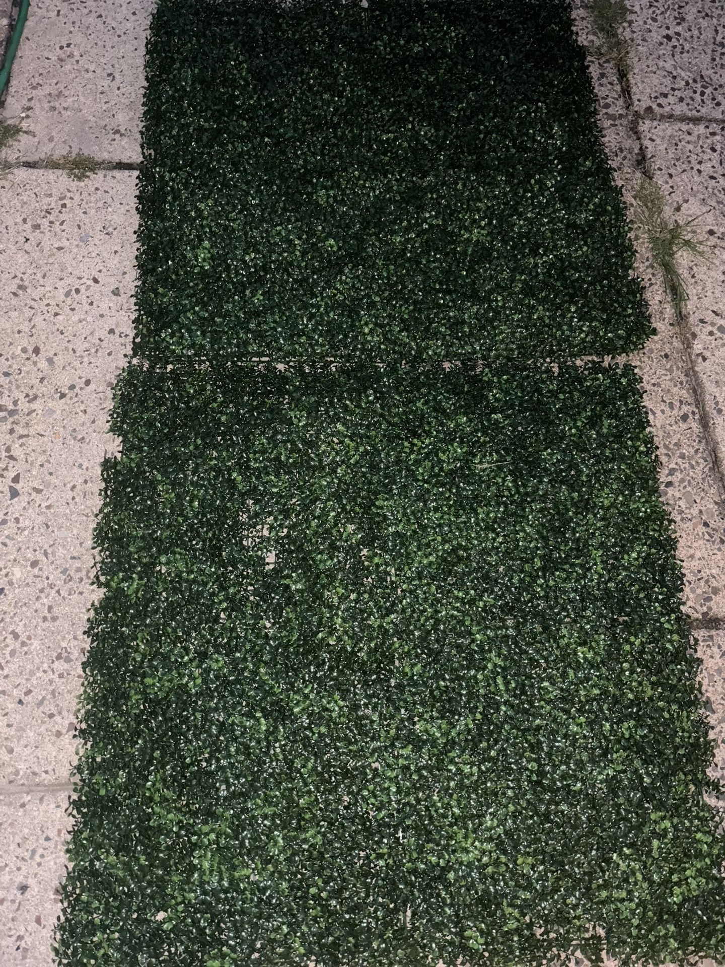 Grass Wall 40x40