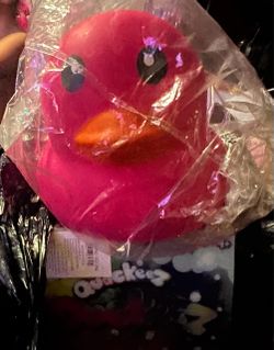 Duck squishy
