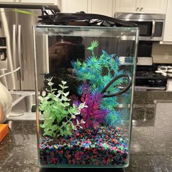GloFish 5 Gallon Fish Tank