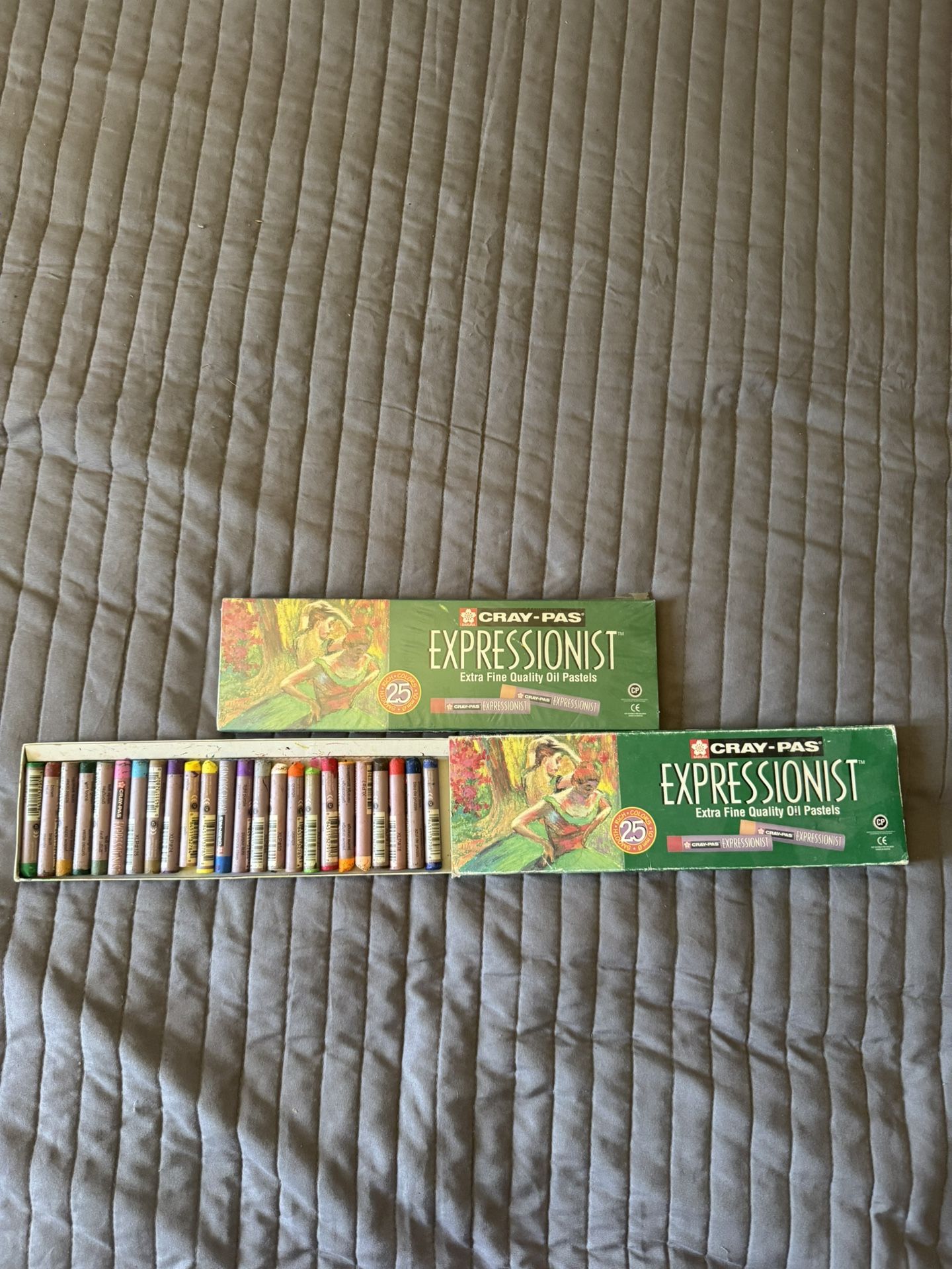 Cray-pas Expressionist Extra Fine Quality Oil Pastels