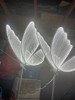 2 butterfly stands