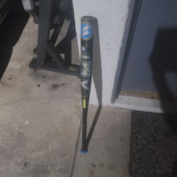 Softball Bat