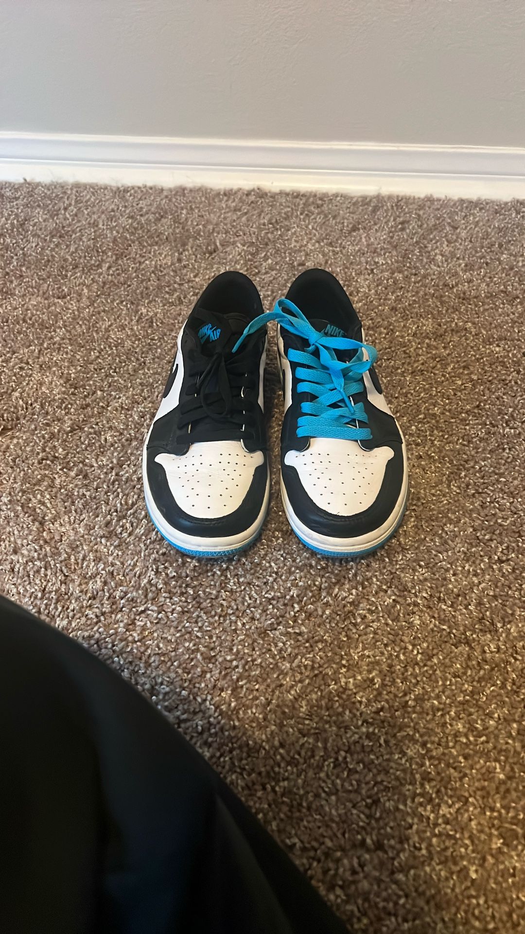 Nike Dunk Lows