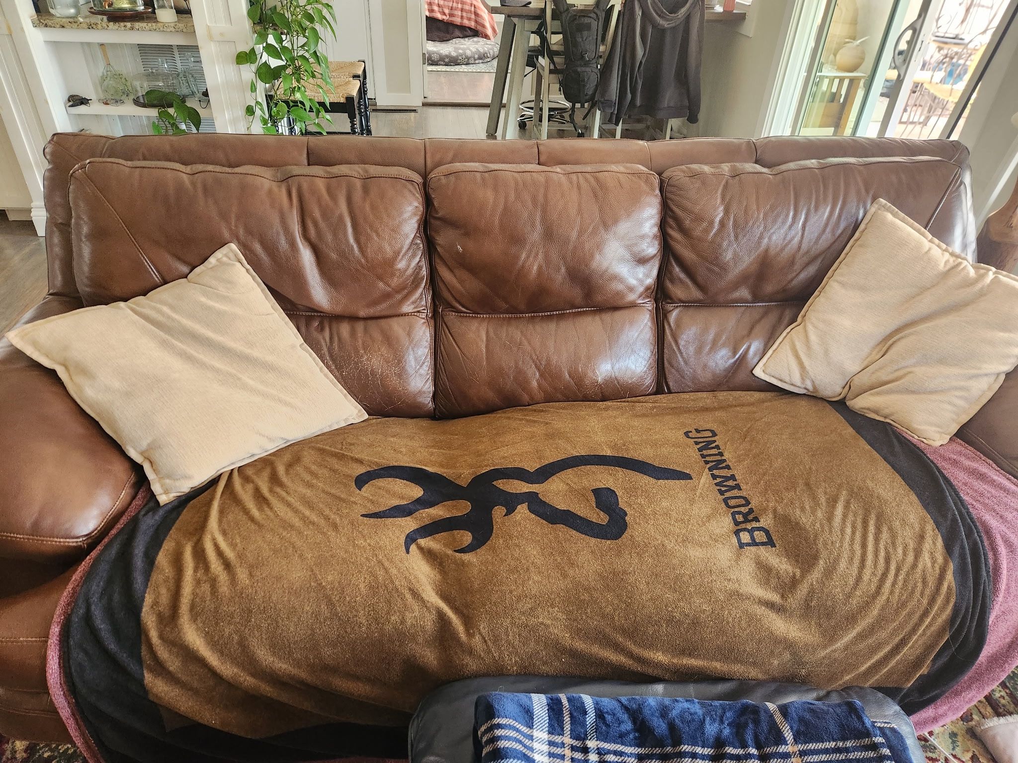 FREE Leather Sleeper Couch