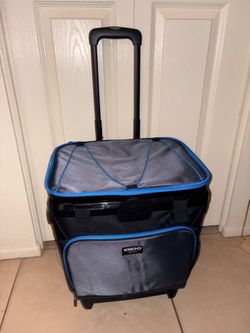Igloo Cooler