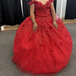 Brand New Quinceñera Dress