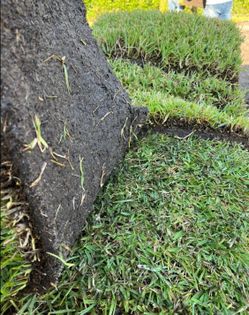MUCKBASE SOD