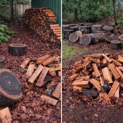 Bulk Firewood For Sale – Approx. 3.5 Cords (Split + Rounds) 