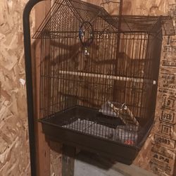 FREE Bird Cage With Stand