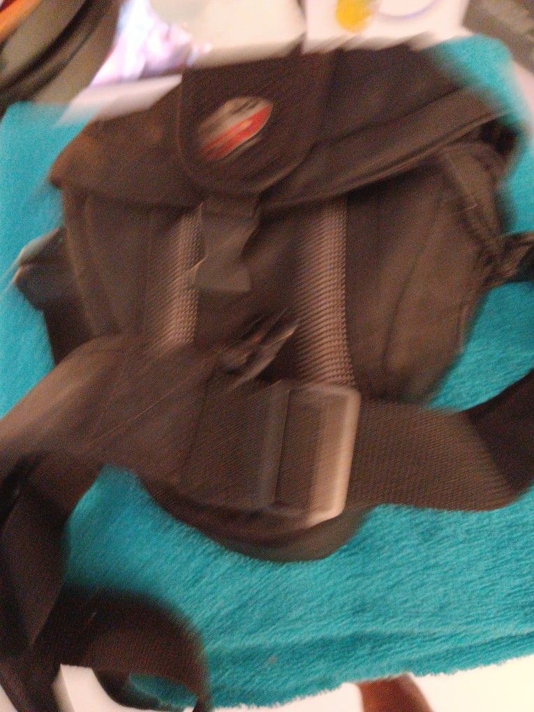 Lamborghini Backpack