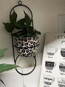 Adorable HAND PAINTED Leopard Print Planter🐆🌿🐆🌿🌿