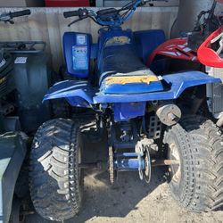 Yamaha Blaster 200 Two Stroke 