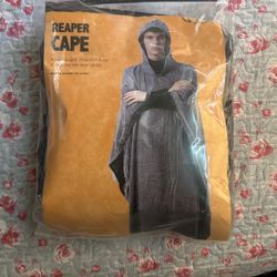 Halloween Costume 