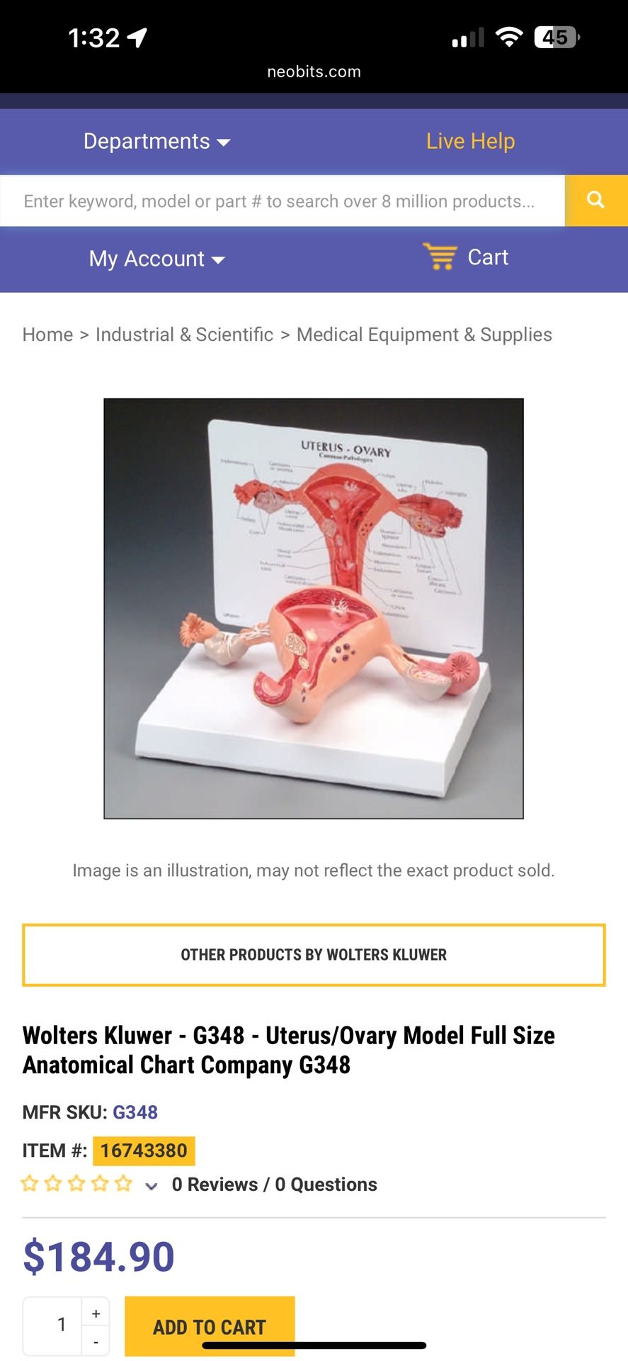Anatomical Uterus/Ovary Model
