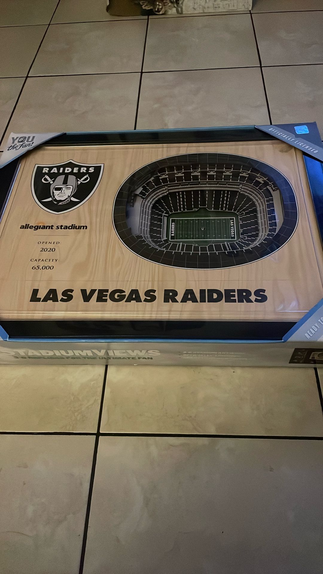 Raiders Stadium Frame