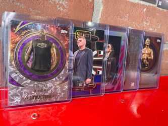 WWE /399 Topps and Panini Tradinf Cards Lot