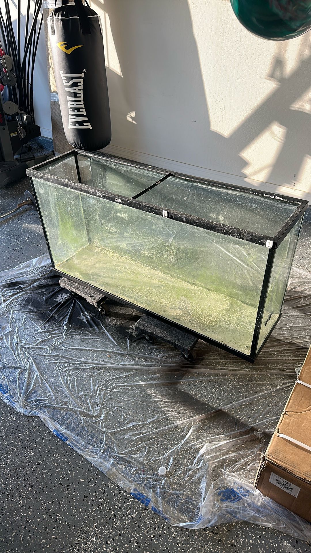 55 Gallon Fish Tank