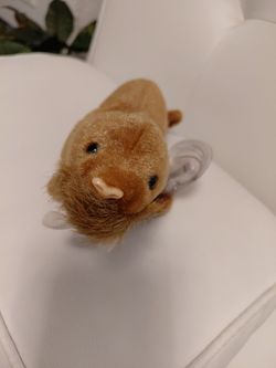 Beanie Baby Paul the Walrus
